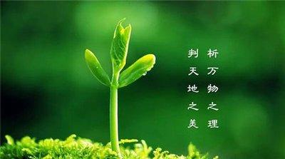 植树节你准备怎么过，12句诗词带你了解宋人与树木的亲密(图2)