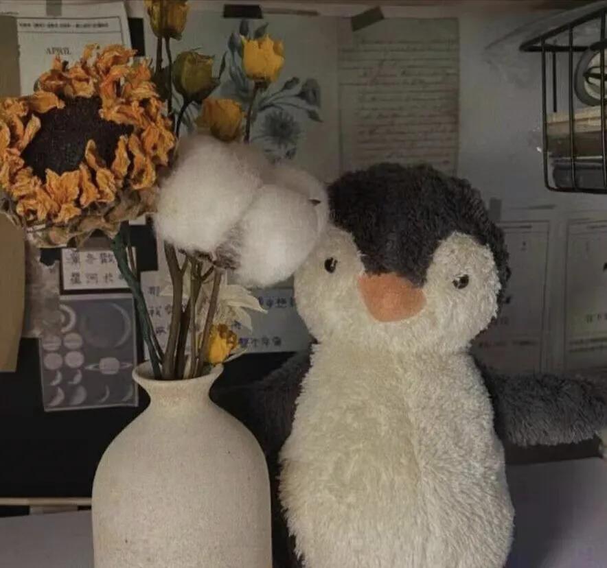 平凡里透着光的励志青春文案：我们终将上岸，阳光万里(图4)