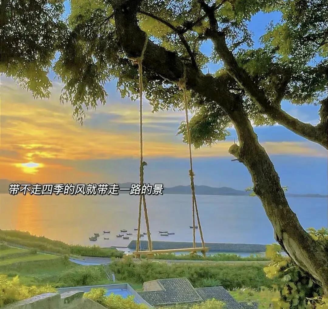 平凡里透着光的励志青春文案：我们终将上岸，阳光万里(图5)