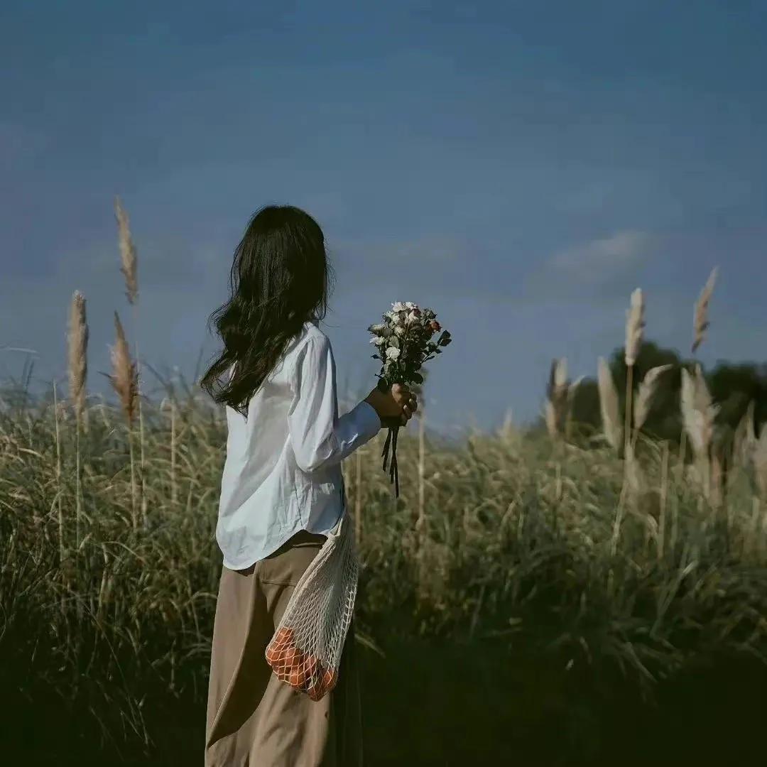 鼓励自己的小众文案｜我们终将上岸，阳光万里（值得收藏）(图1)