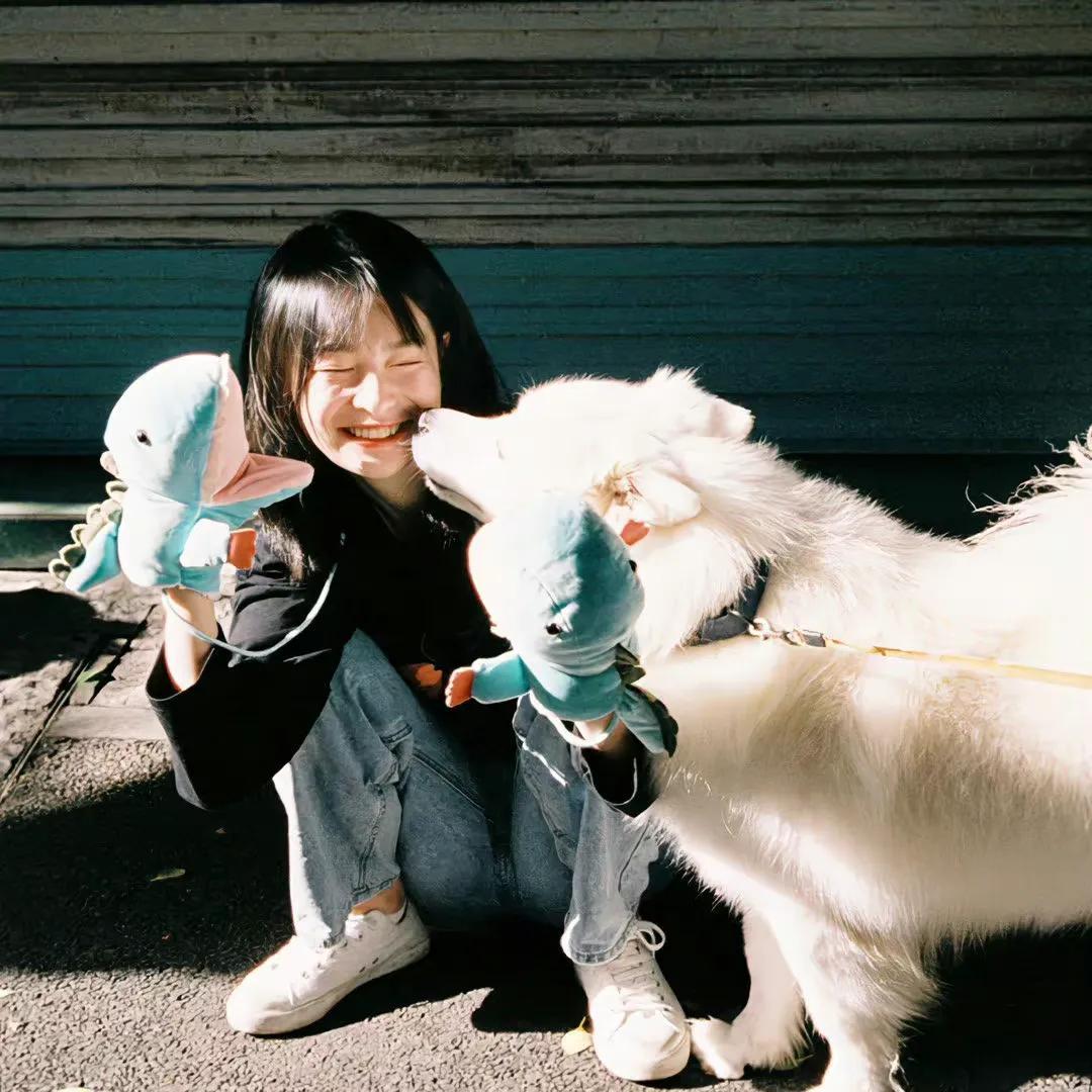 鼓励自己的小众文案｜我们终将上岸，阳光万里（值得收藏）(图6)