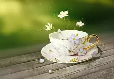 早安问候语简短一句话 早上好的句子(图4)