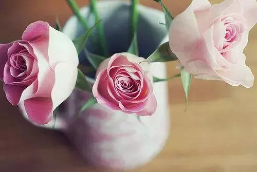 早安问候语简短一句话 早上好的句子(图5)