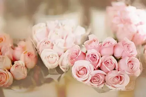 早安问候语简短一句话 早上好的句子(图6)