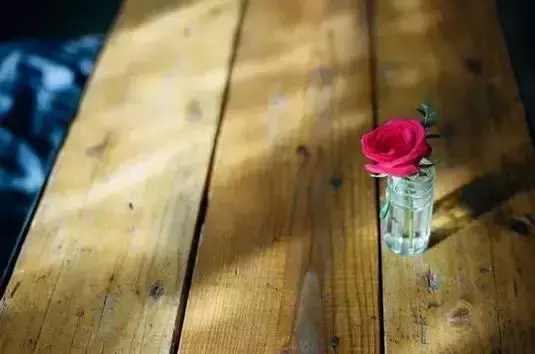 茶语清心，名家说茶名句(图8)