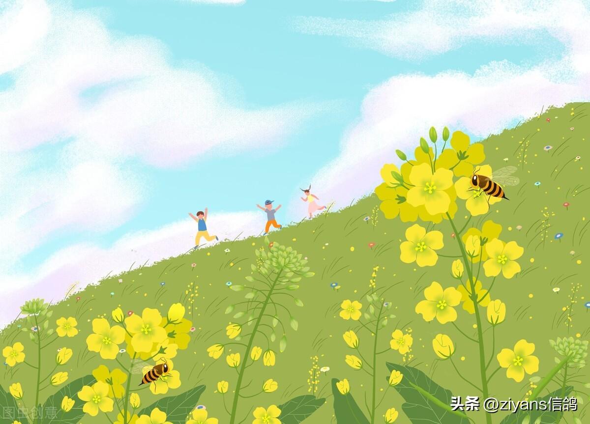 把风描写得极致的句子(图3)