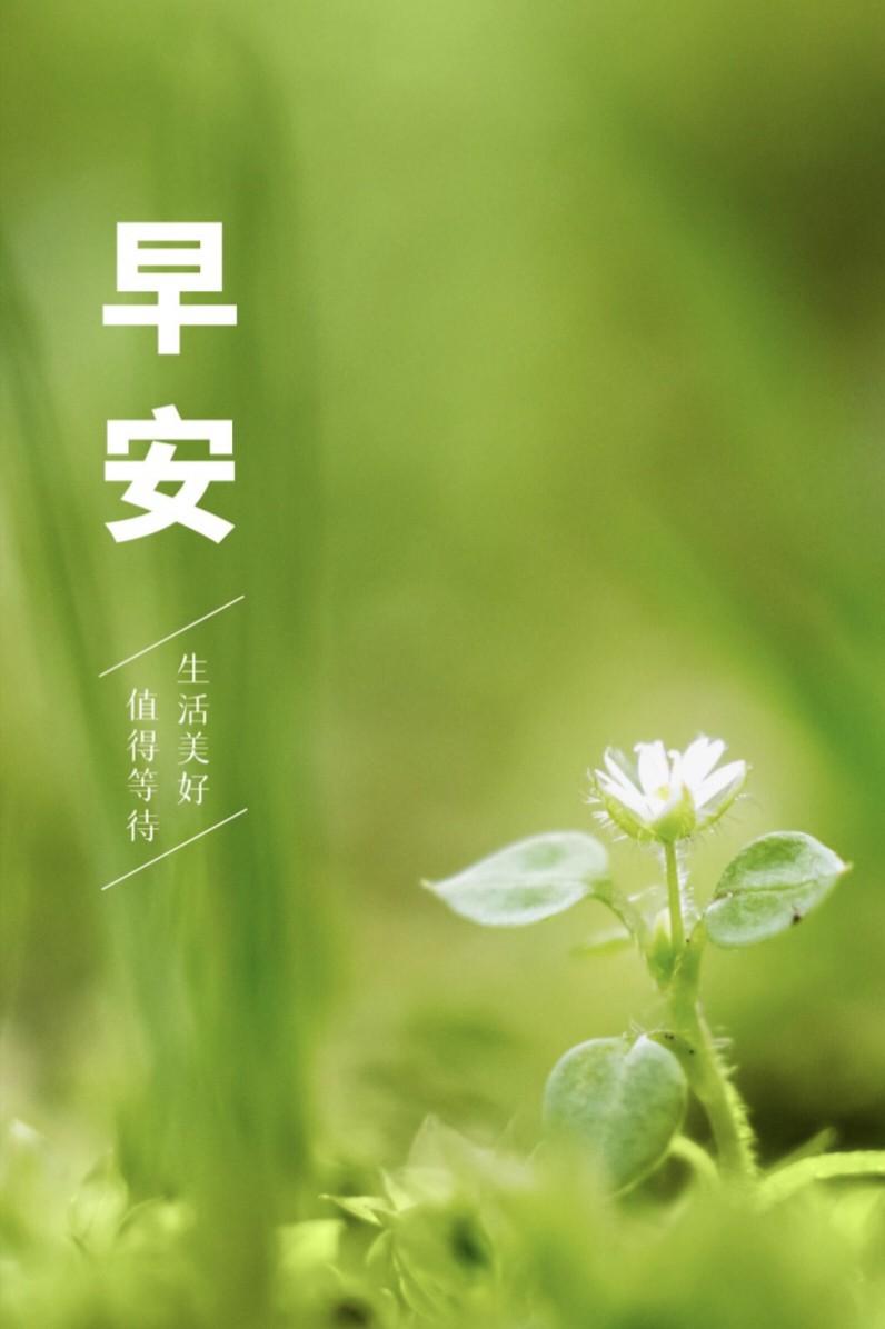 早安心语 生活最美的样子，就是脸上洋溢着微笑(图5)