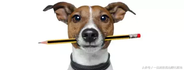 文案小白入门篇之：说说长文案和短文案的区别(图1)