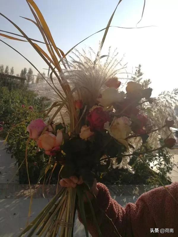 与花艺相伴，诗一袭流年(图3)