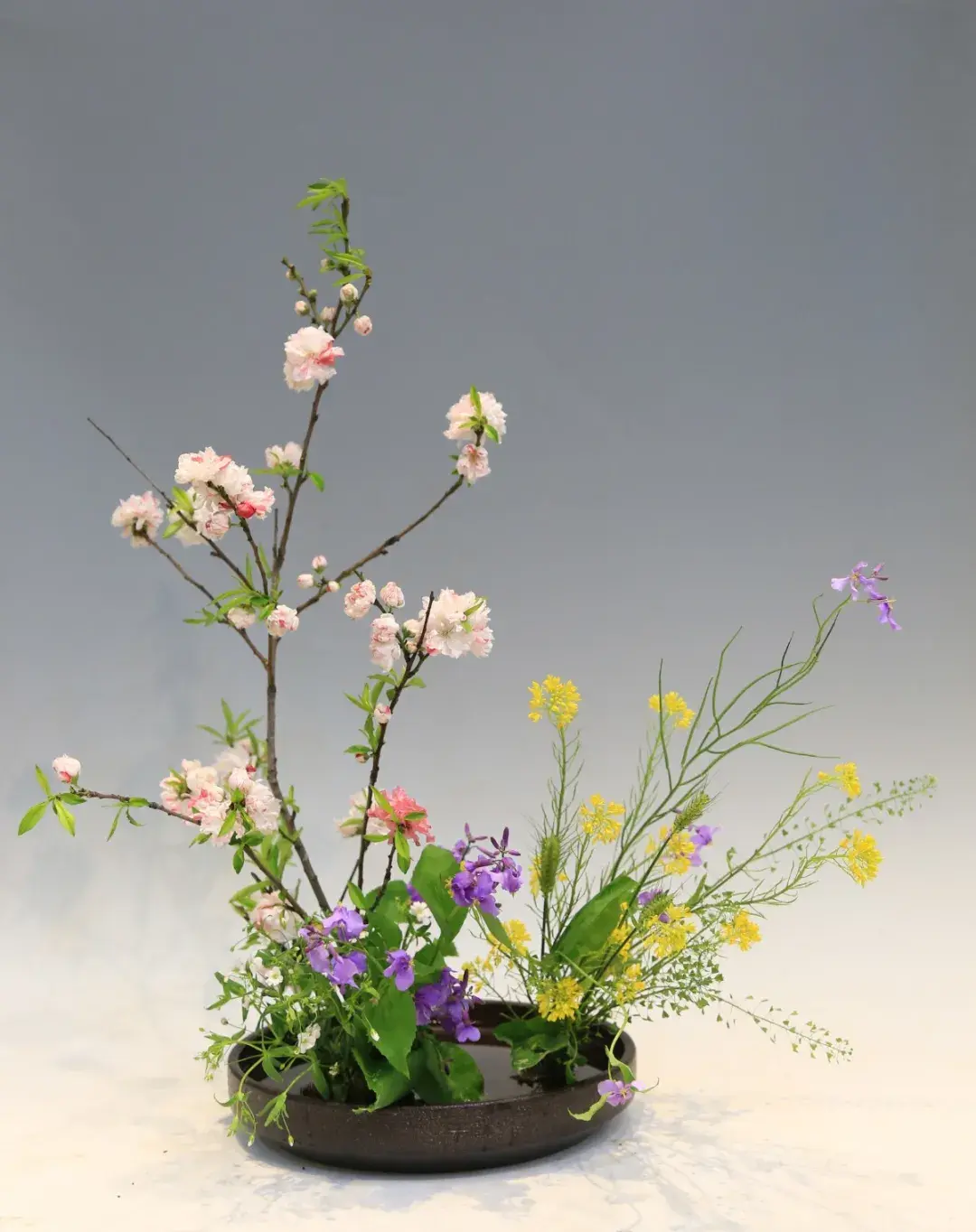 春分插花:轻风细雨,惜花天气,相次过春分(图1) 春分插花:轻风细雨,惜花天气,相次过春分(图1)