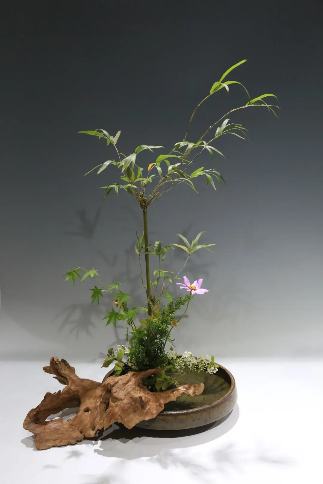 春分插花：轻风细雨，惜花天气，相次过春分(图2)