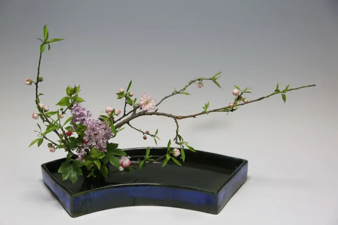 春分插花:轻风细雨,惜花天气,相次过春分(图3) 春分插花:轻风细雨,惜花天气,相次过春分(图3)