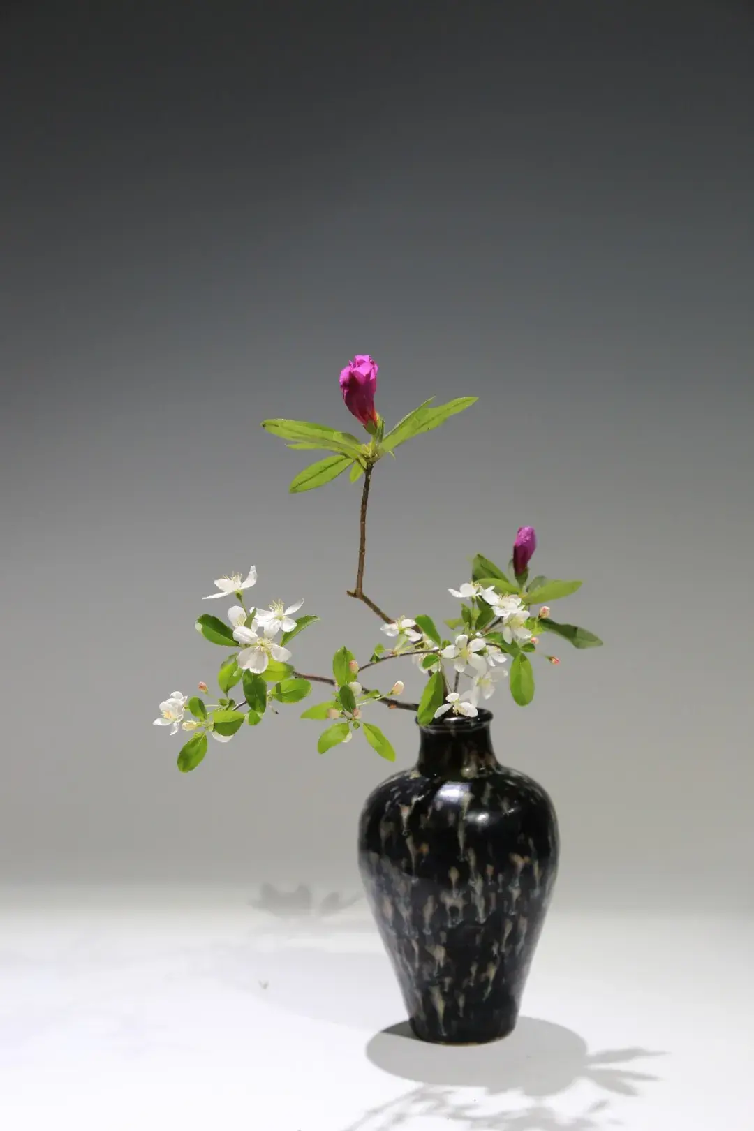 春分插花:轻风细雨,惜花天气,相次过春分(图4) 春分插花:轻风细雨,惜花天气,相次过春分(图4)