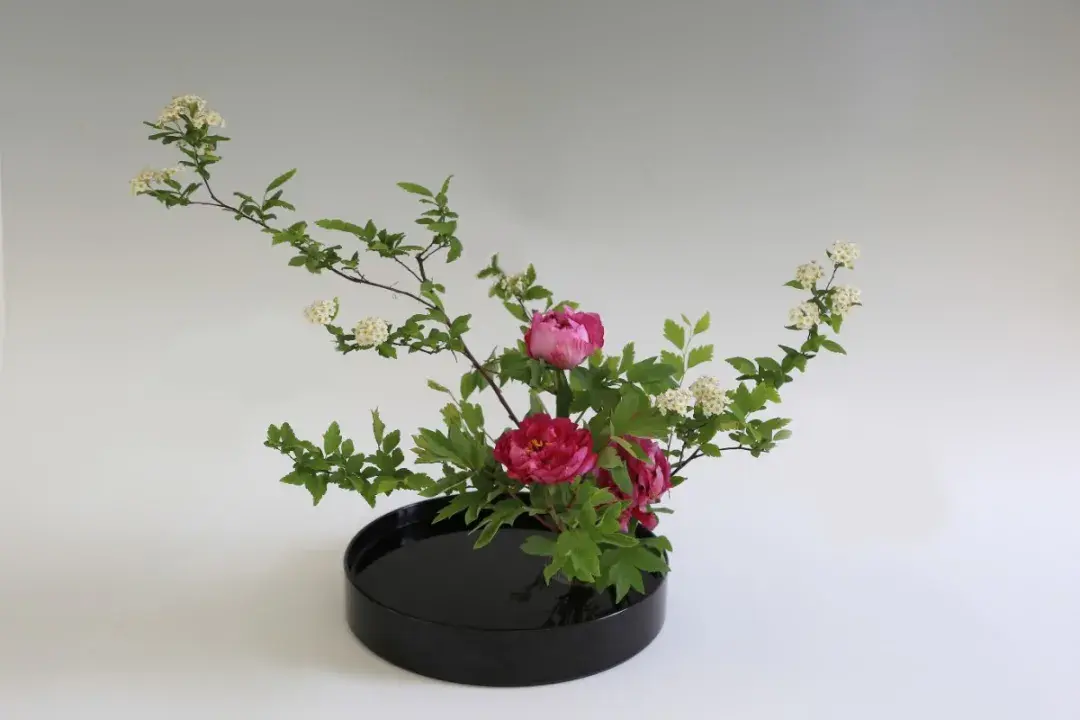 春分插花:轻风细雨,惜花天气,相次过春分(图6) 春分插花:轻风细雨,惜花天气,相次过春分(图6)