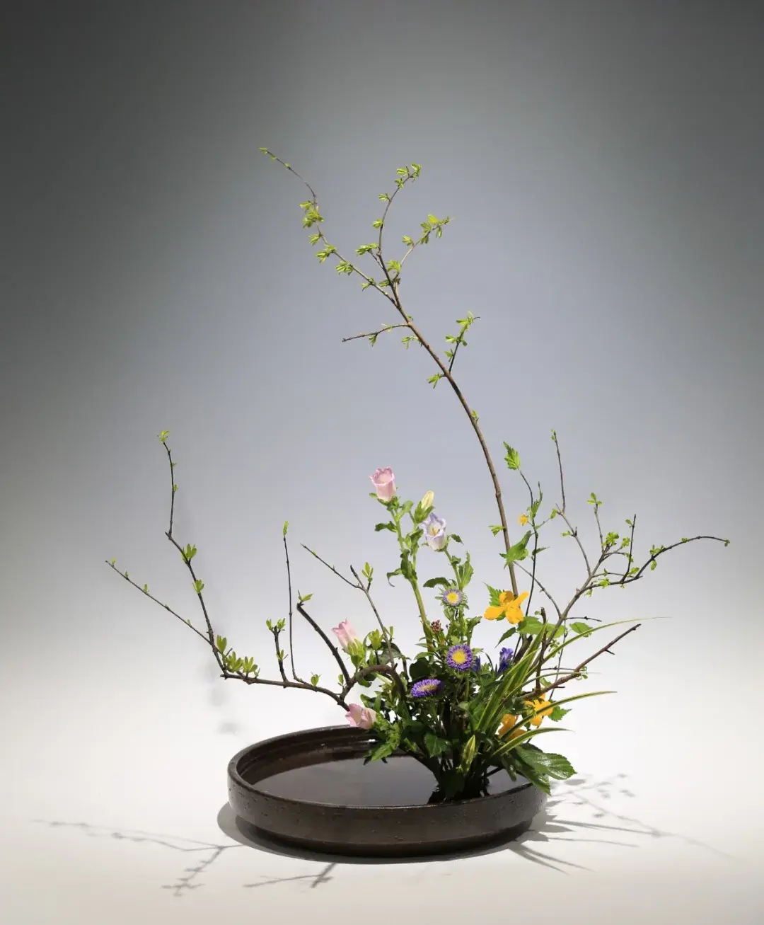 春分插花:轻风细雨,惜花天气,相次过春分(图7) 春分插花:轻风细雨,惜花天气,相次过春分(图7)