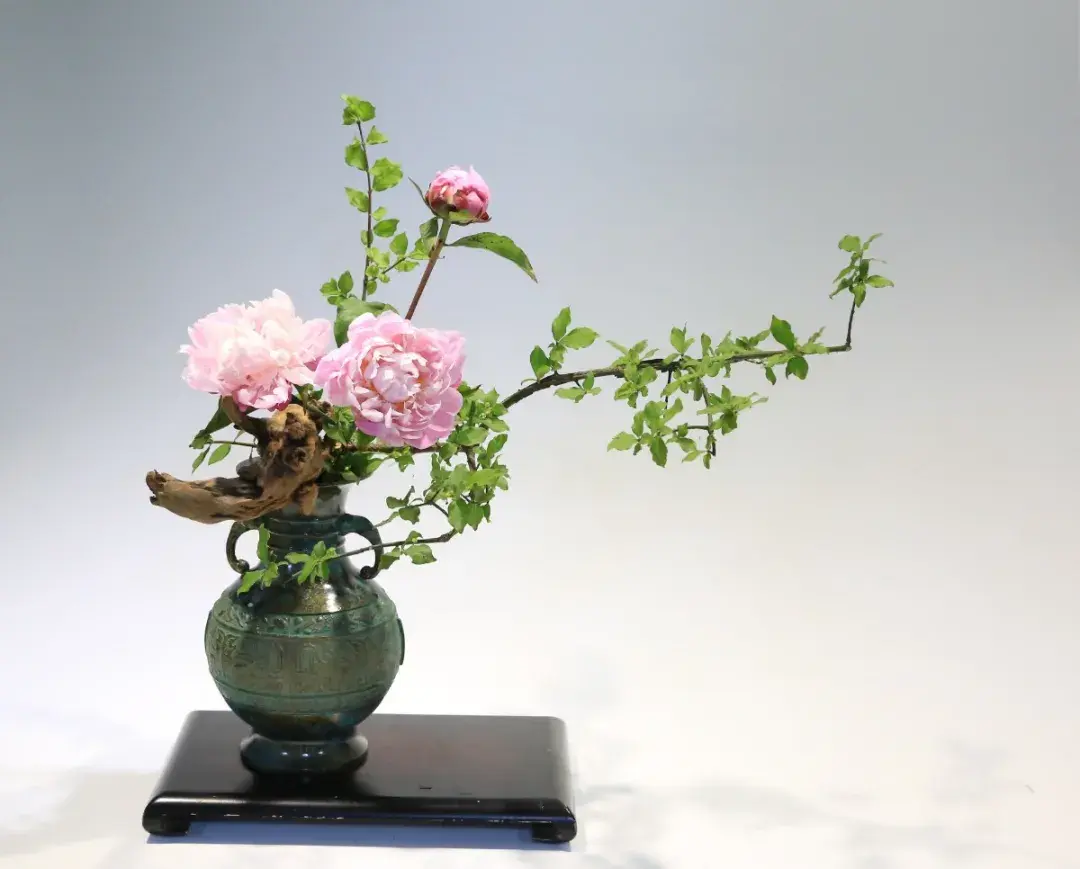 春分插花：轻风细雨，惜花天气，相次过春分(图8)