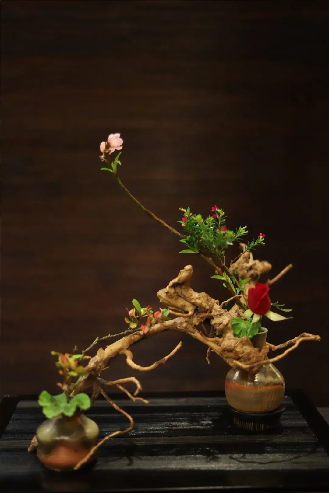 春分插花:轻风细雨,惜花天气,相次过春分(图9) 春分插花:轻风细雨,惜花天气,相次过春分(图9)