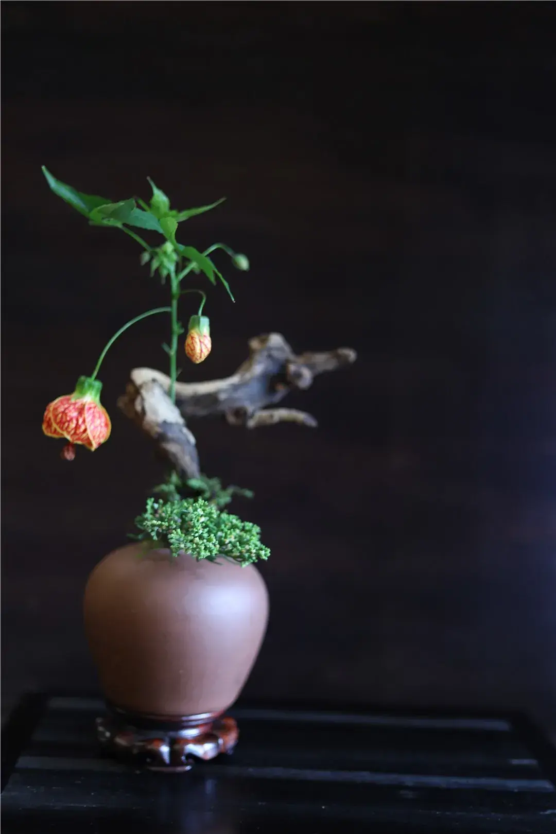 春分插花：轻风细雨，惜花天气，相次过春分(图11)