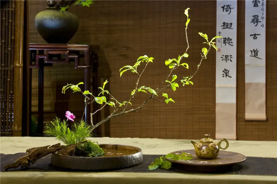 春分插花:轻风细雨,惜花天气,相次过春分(图14) 春分插花:轻风细雨,惜花天气,相次过春分(图14)