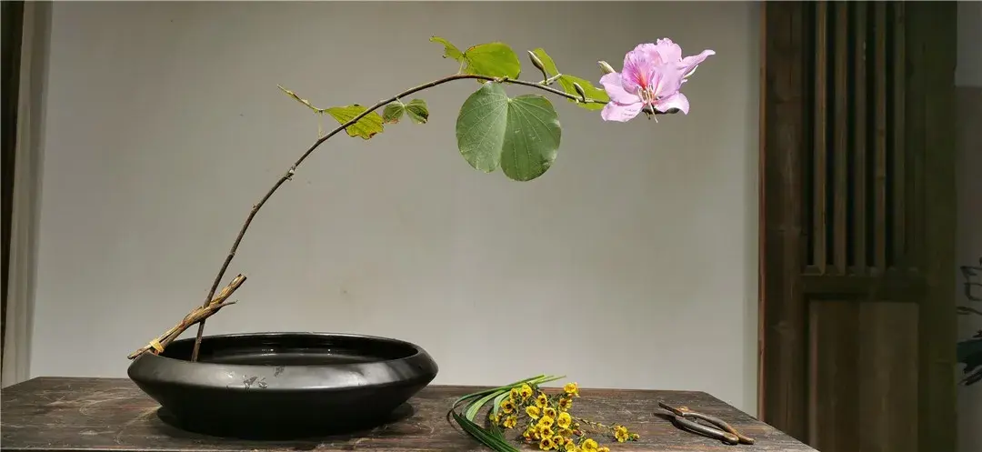 春分插花:轻风细雨,惜花天气,相次过春分(图18) 春分插花:轻风细雨,惜花天气,相次过春分(图18)