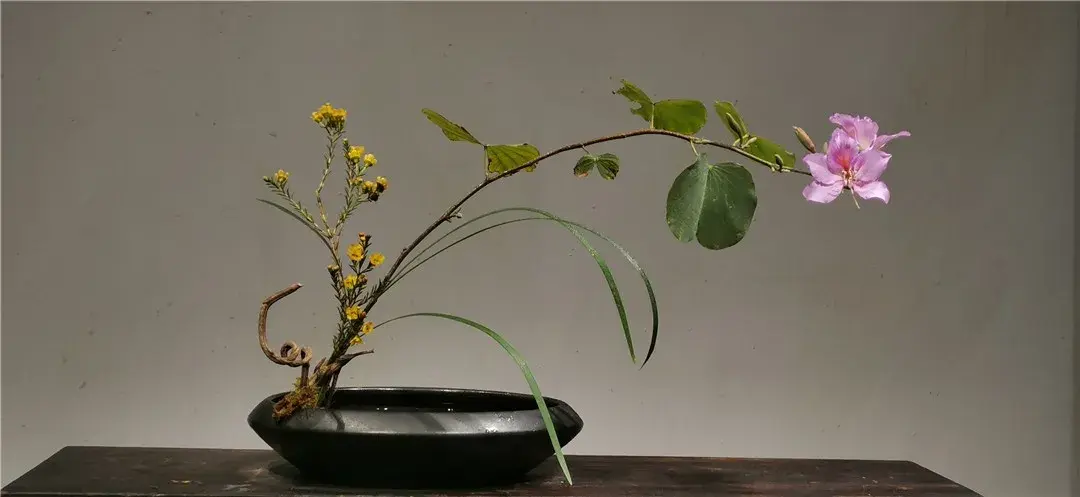 春分插花：轻风细雨，惜花天气，相次过春分(图19)