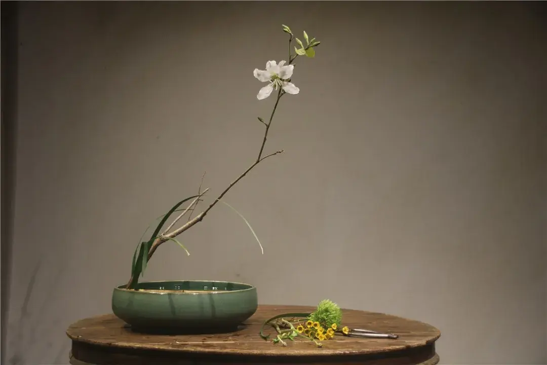 春分插花:轻风细雨,惜花天气,相次过春分(图21) 春分插花:轻风细雨,惜花天气,相次过春分(图21)