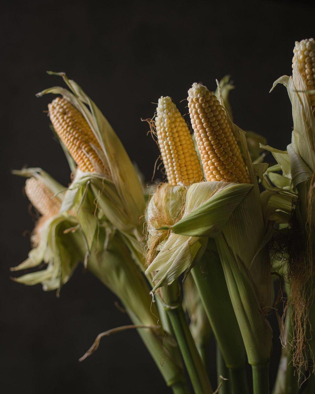 秋日果蔬花艺，带着秋风，带着秋雨，带着秋色(图2)