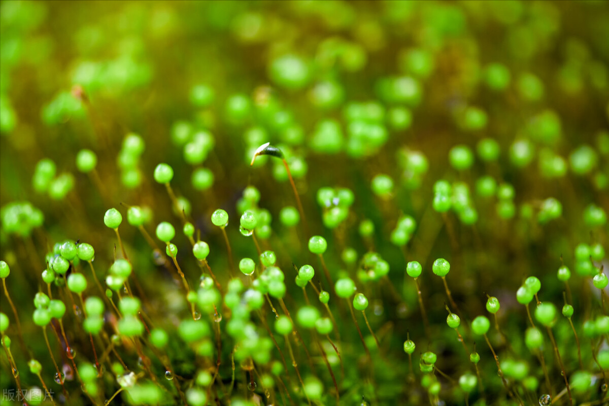 朋友圈文案|一月再见，二月你好！(图4)