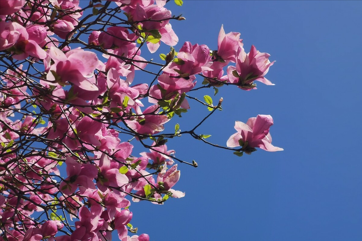 朋友圈文案|一月再见，二月你好！(图5)