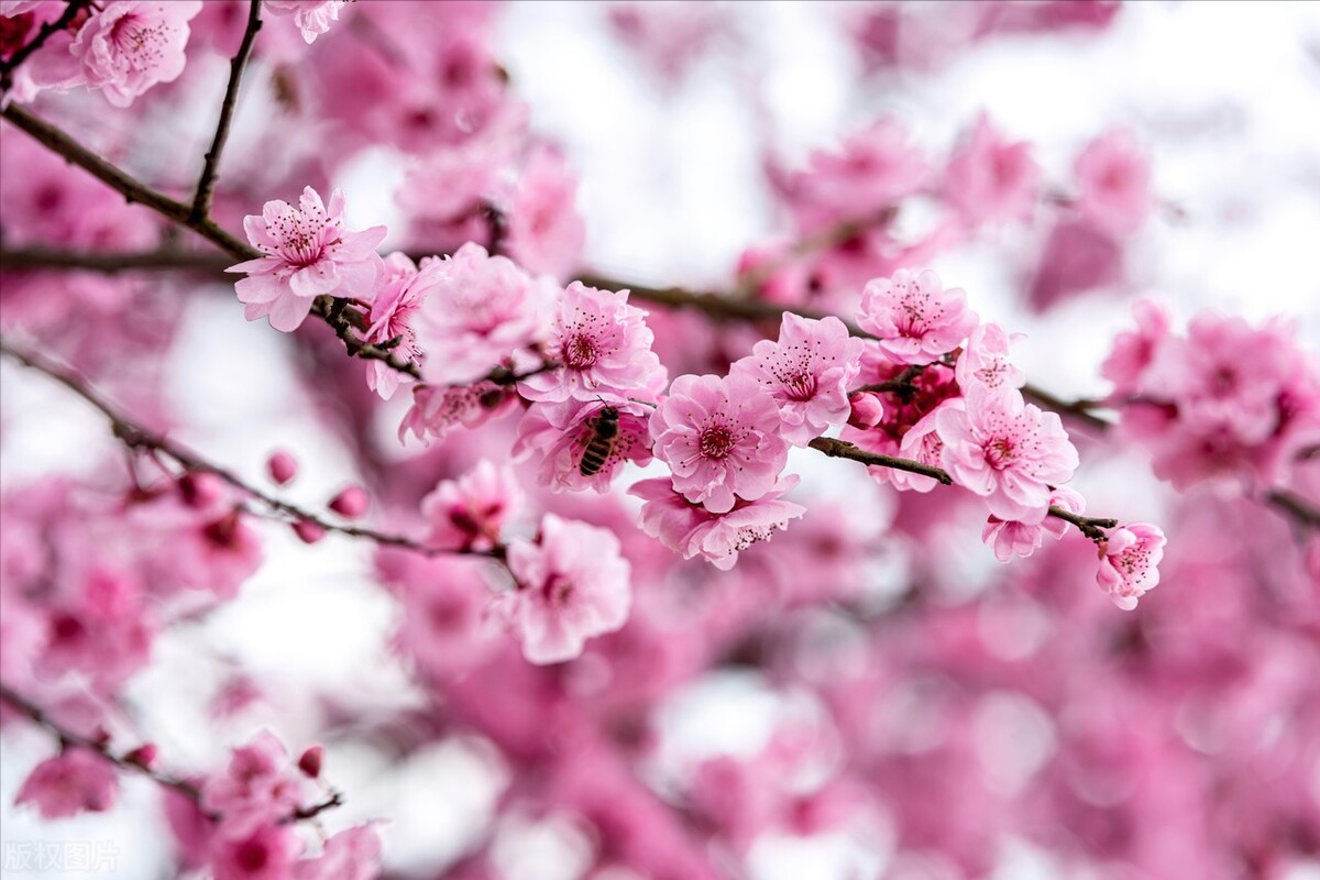 朋友圈文案|一月再见，二月你好！(图7)