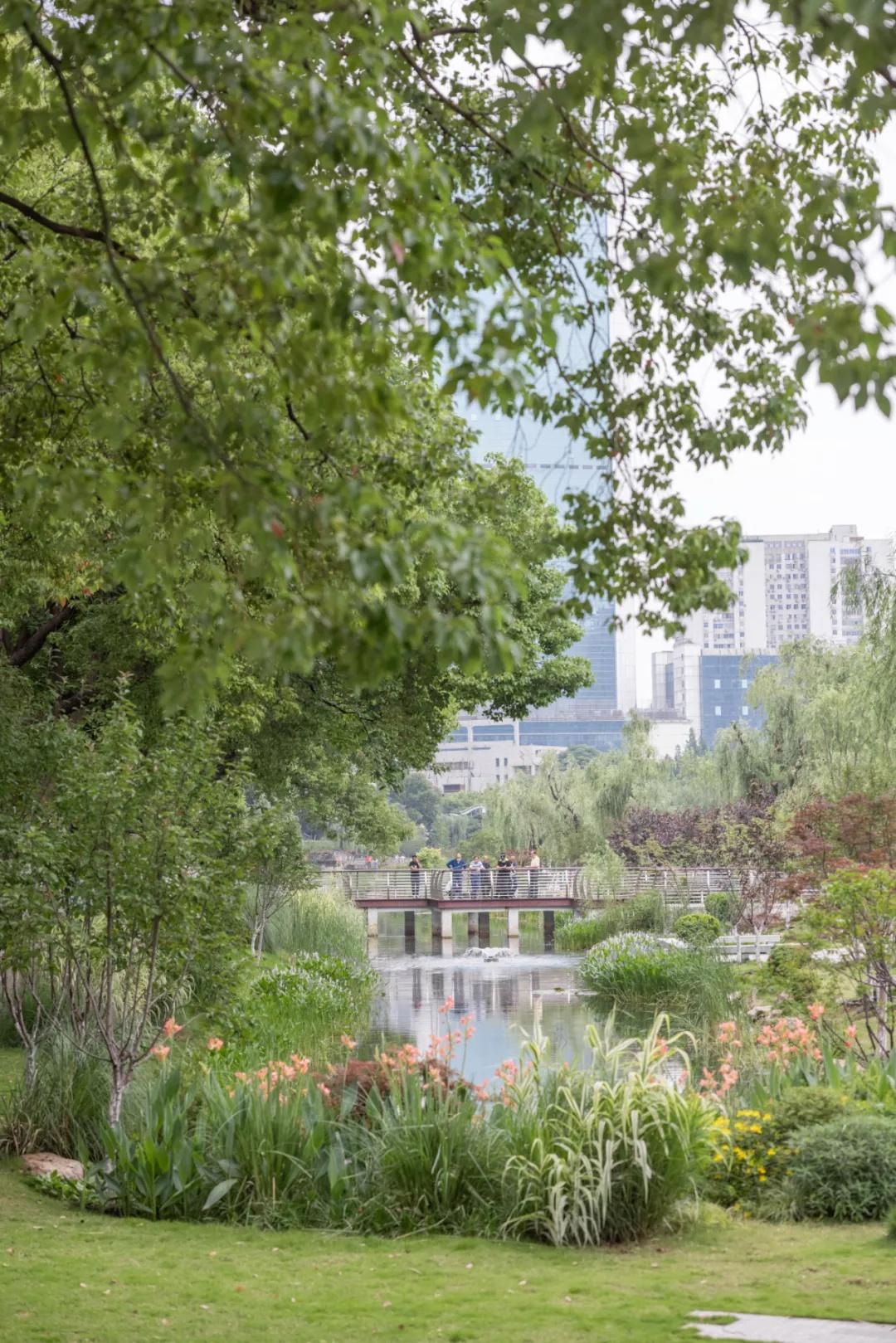 武汉的初夏溅起“小水花”，好美(图2)