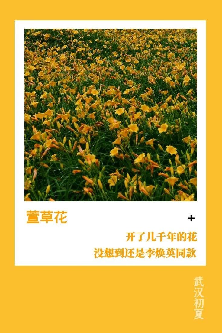 武汉的初夏溅起“小水花”，好美(图13)