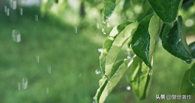 七律，春霖似雾更朦胧（诗八首）(图1)