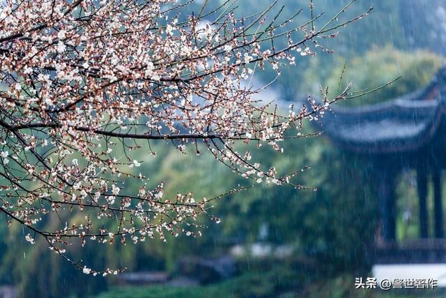 七律，春霖似雾更朦胧（诗八首）(图4)