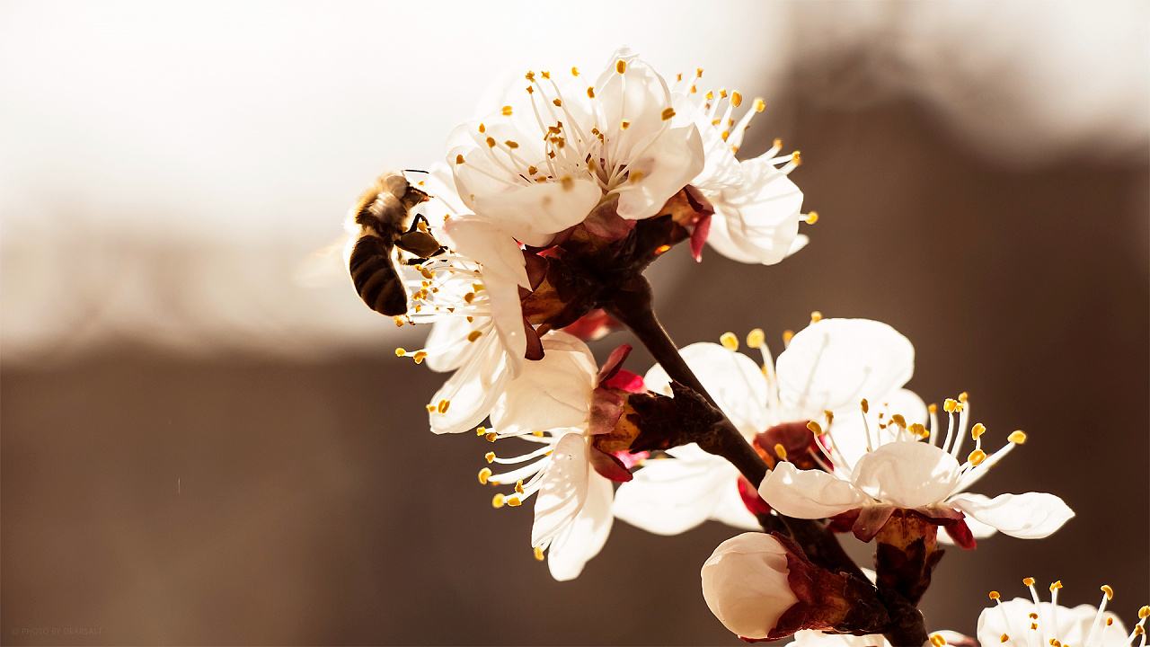 旗袍女人词选：情怀岁月，笔墨流年(图3)