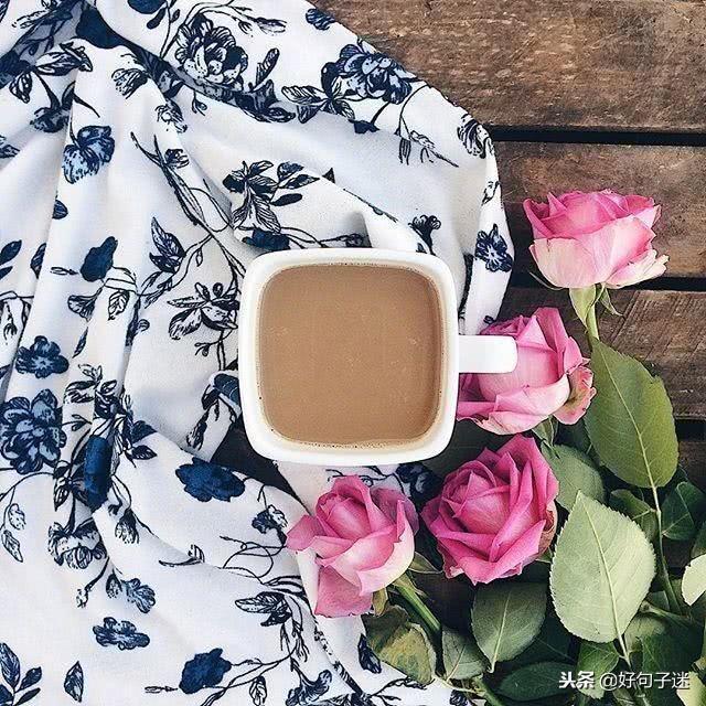 微信朋友圈经典阳光说说，开朗洒脱，让人一看就想赞(图4)