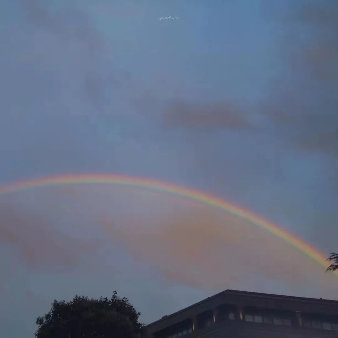 文案｜|高级的微信状态句子(图1)