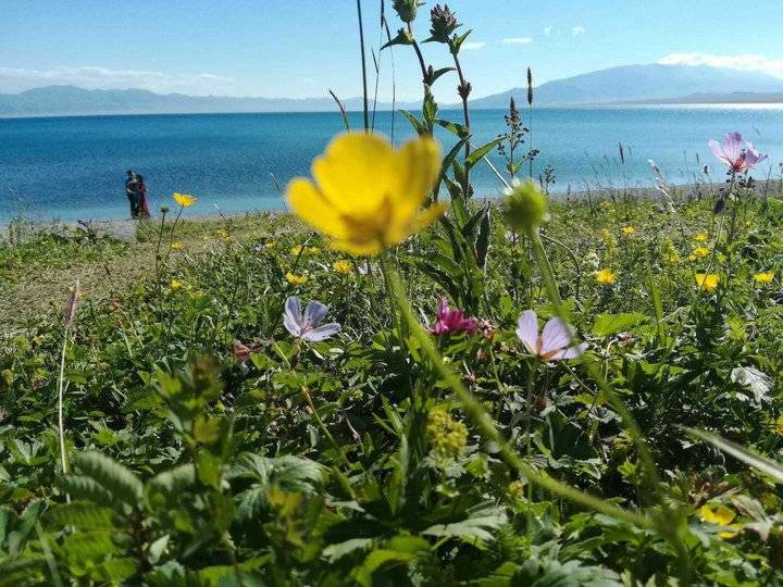 我所感知的赛里木湖（散文）(图3)