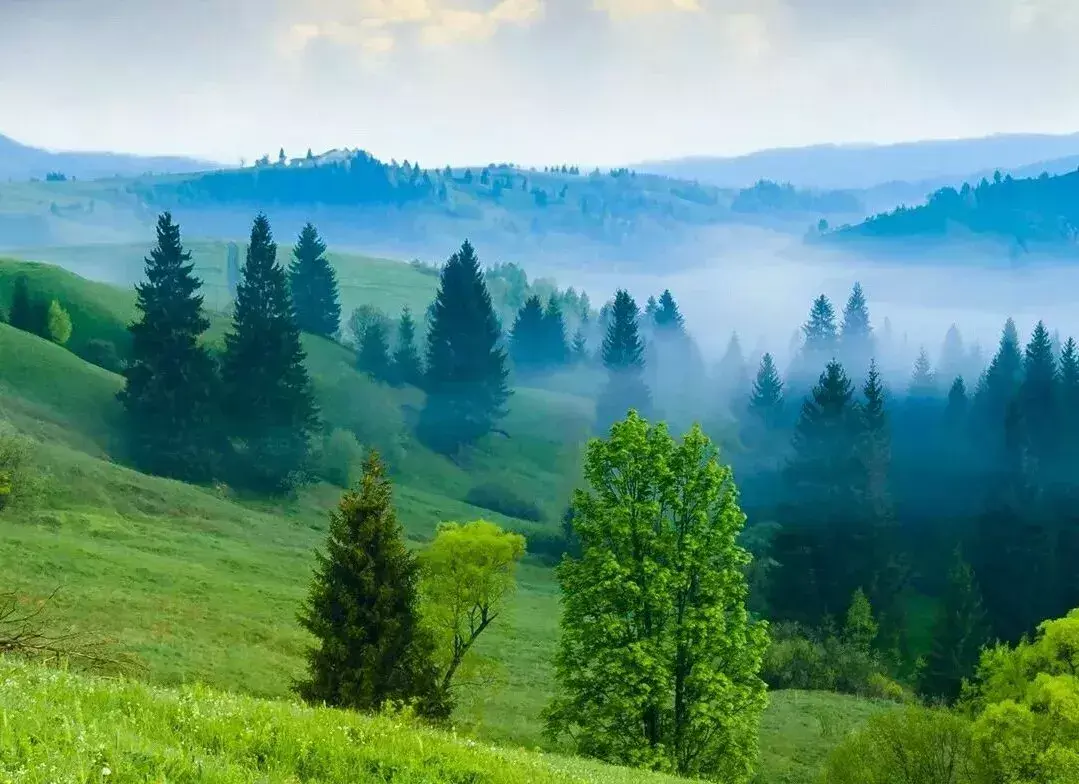 15位哲学大师的思想精华，句句箴言！(图1)