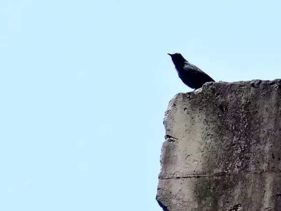 15位哲学大师的思想精华，句句箴言！(图8)