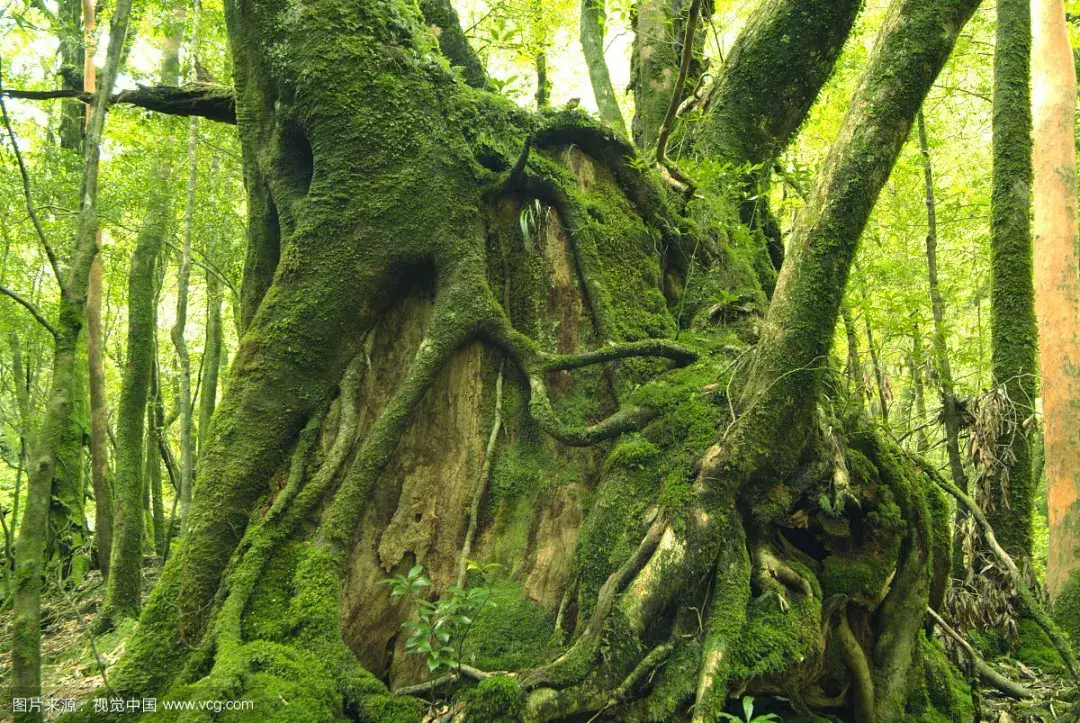 15位哲学大师的思想精华，句句箴言！(图10)