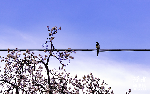 10位作家的经典语录，值得收藏(图3)