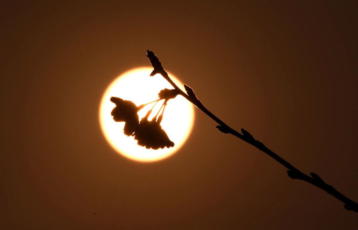 万事皆有因果，万物总有轮回！（惊醒）(图2)