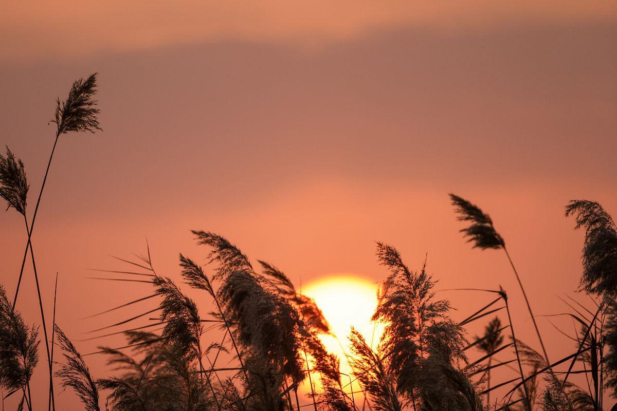 万事皆有因果，万物总有轮回！（惊醒）(图3)