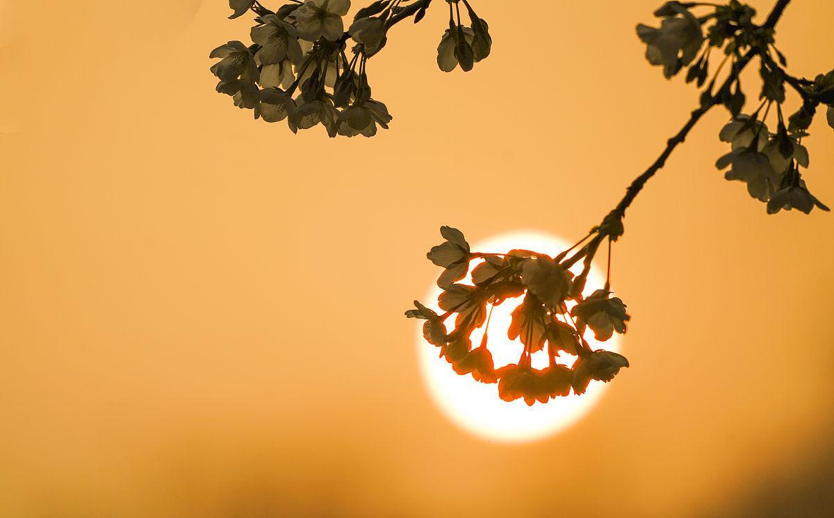 万事皆有因果，万物总有轮回！（惊醒）(图6)