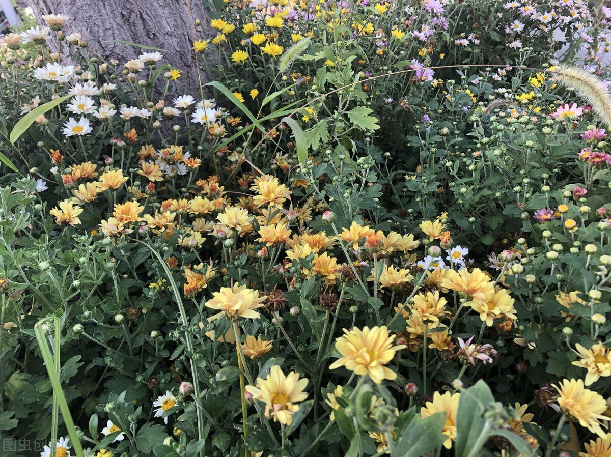 写给最爱的某人：想你了，无缘相守一生，就在心里想念到老(图2)