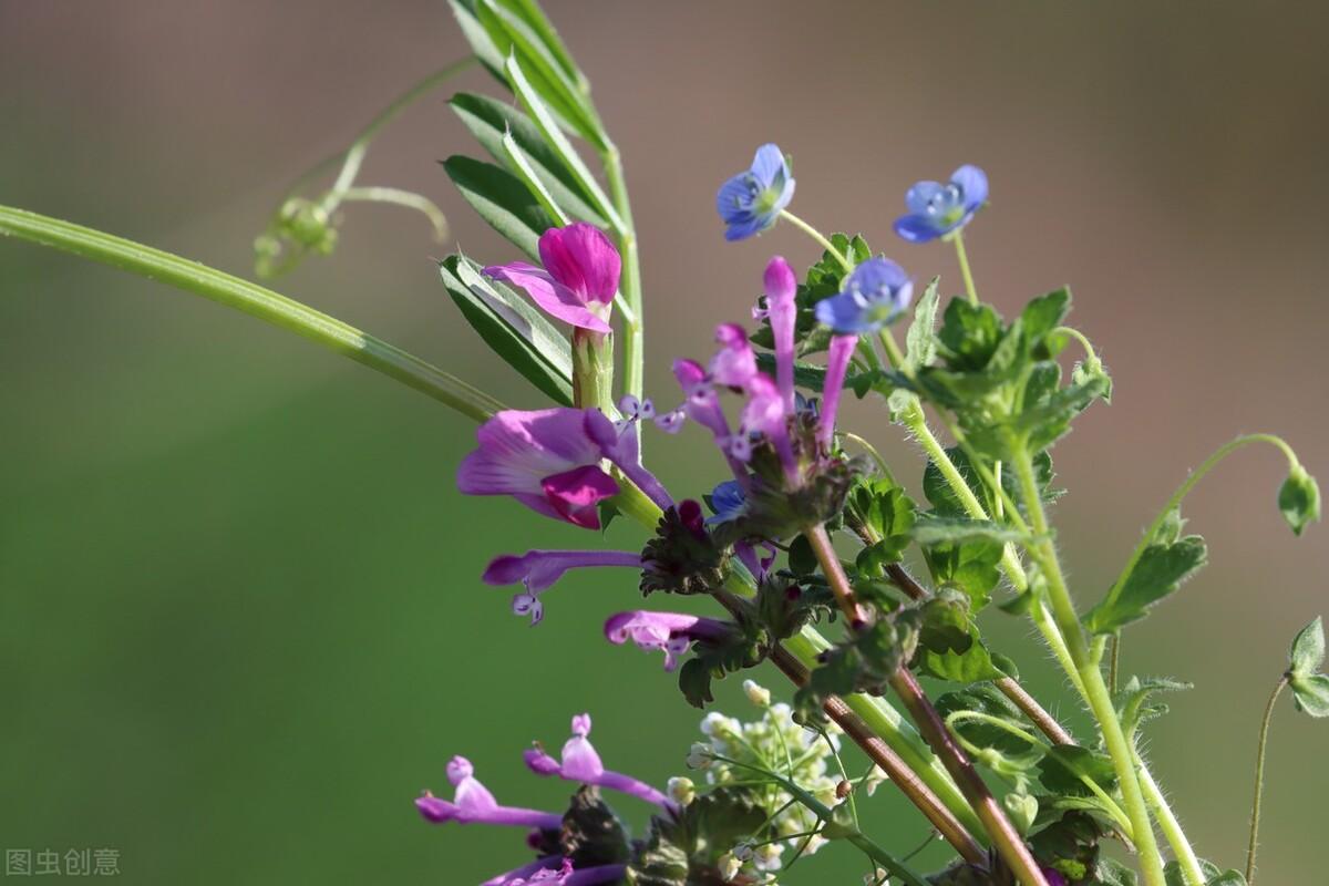 写给最爱的某人：想你了，无缘相守一生，就在心里想念到老(图4)