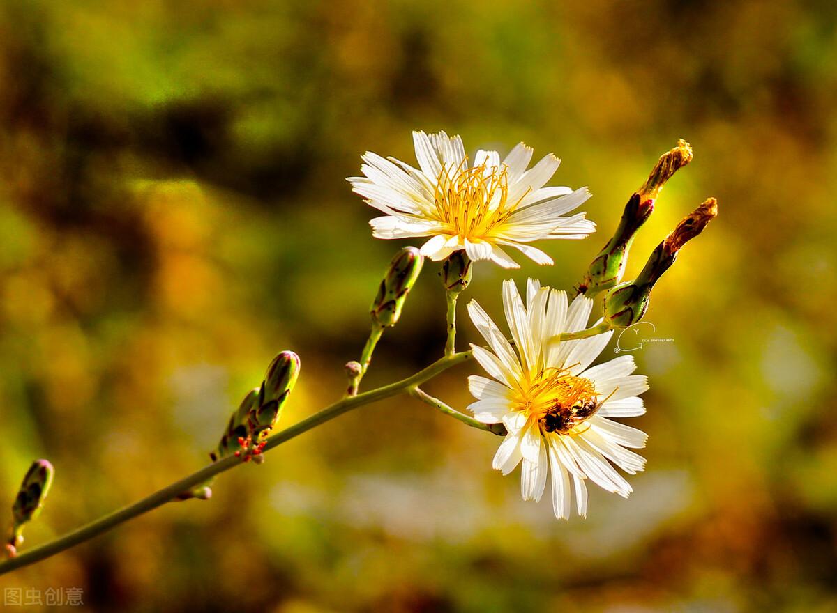 写给最爱的某人：想你了，无缘相守一生，就在心里想念到老(图5)