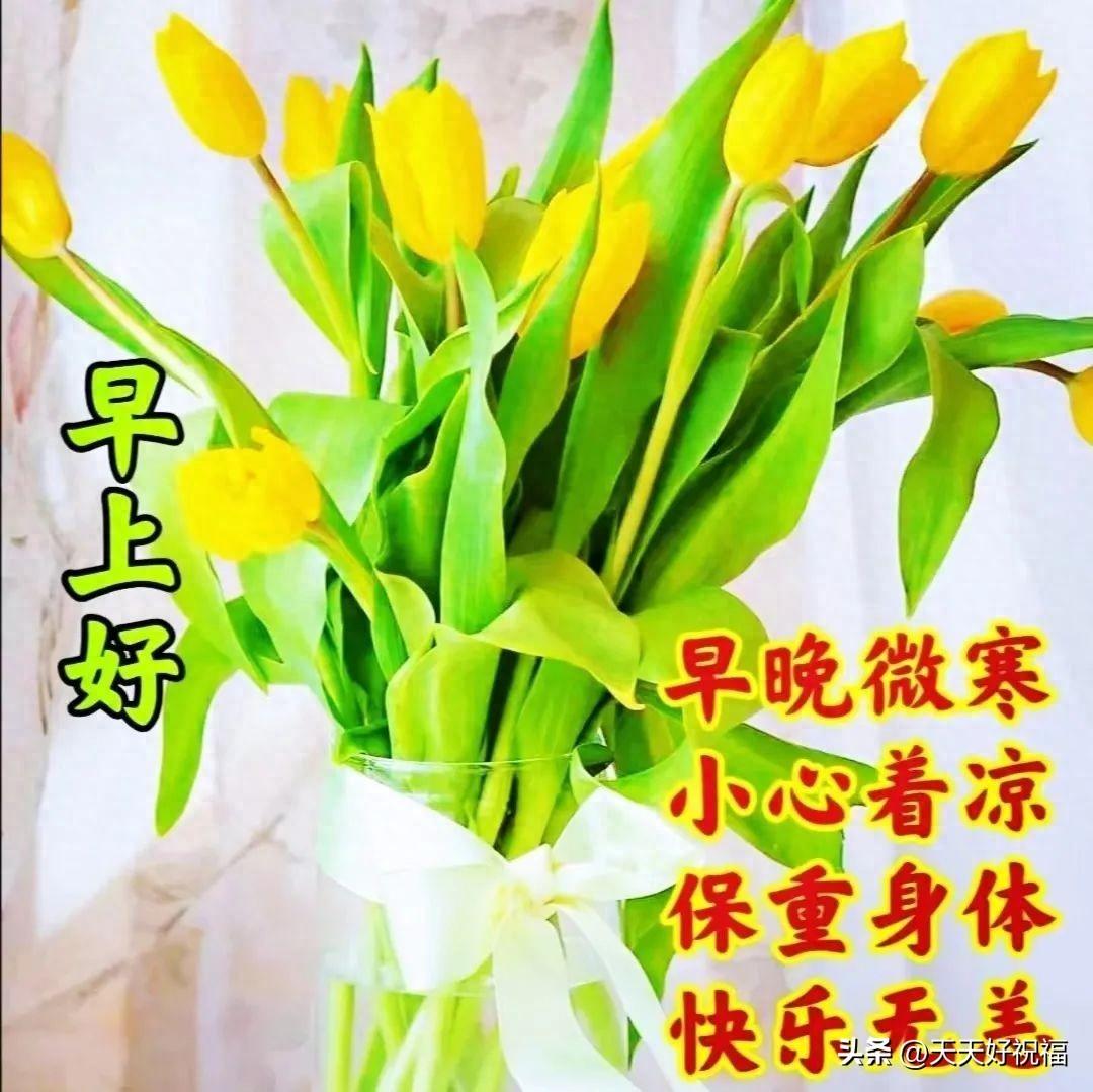 精选早安暖心祝福语创意唯美图片带字，微信早上好给亲友问候语录(图1)