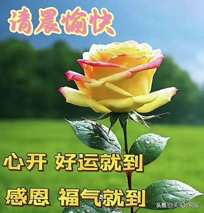 精选早安暖心祝福语创意唯美图片带字，微信早上好给亲友问候语录(图3)